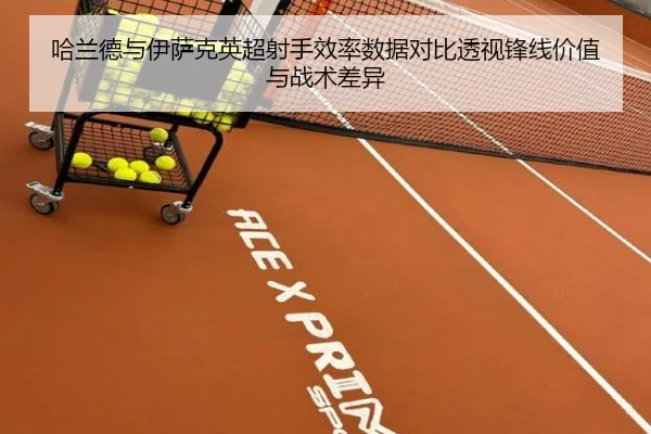 哈兰德与伊萨克英超射手效率数据对比透视锋线价值与战术差异